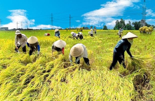 Dương Thị Thùy Vân, người phụ nữ khởi nghiệp thành công bằng tình yêu nông nghiệp. (12/01/2018)